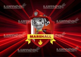 Imagine comestibila tort din Zahar, Paw Patrol Marshall - Lumea - Img 1