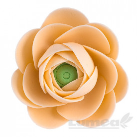Ranunculus de culoare piersica din pasta de zahar - Lumea