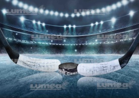 Vafa Cake Duel Duel Hockey - Светът
