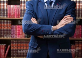 Vafa tort Avocat - Lumea - Img 1