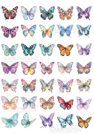 Vafa tort Fluture Exotice, Colorate - Lumea