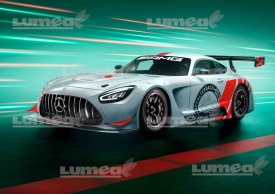 Vafa tort Mercedes AMG model sport de cursa - Lumea