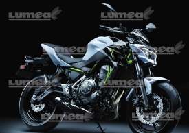 Vafa tort Motocicleta Kawasaki - Lumea