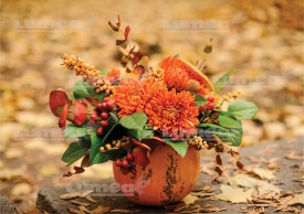 Торта Vafa Little Autumn Bouquet - Светът