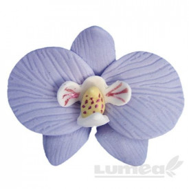 Orhidee moth mov din pasta de zahar, L5,5 cm x l 6 cm x h3 cm, 16 buc, 360g - Lumea