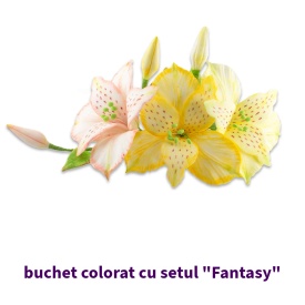 Set Colorant alimentar pudra Fantasy Mix - Lumea - Img 4