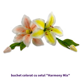 Set Colorant alimentar pudra Harmony Mix - Lumea - Img 4