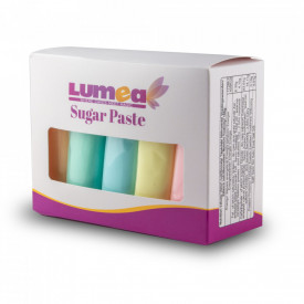 Set fondant Pastel mix, 100g x 5 buc. - Lumea - Img 2