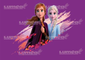 Vafa tort Frozen, Elsa si Anna model mov - Lumea
