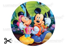 Vafa tort Mickey si Minnie in padure - Lumea - Img 3