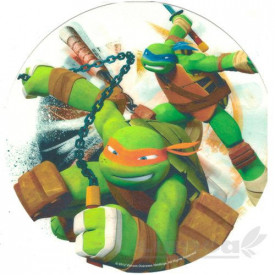 Vafa tort Turtle Ninjas - Kardasis