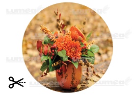 Торта Vafa Little Autumn Bouquet - Светът - Img 3