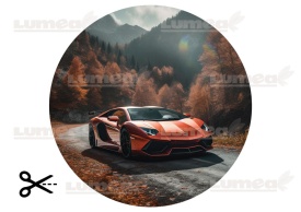 Ядливо изображение на захарна торта Lamborghini в есенната гора - Светът - Img 3