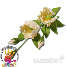 Buchet eustoma crem din pasta de zahar - Lumea