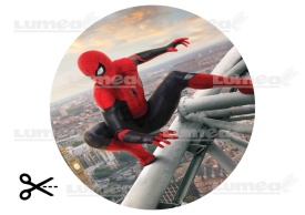 Imagine comestibila tort din Zahar Spiderman pe zgârie -nori - Lumea - Img 3