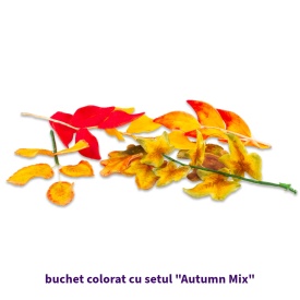 Set Colorant alimentar pudra Autumn Mix - Lumea - Img 4