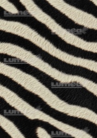 Vafa tort A4 model Zebra - Lumea