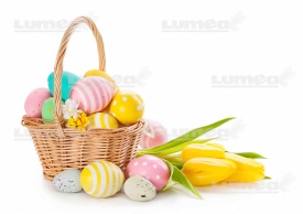 Vafa tort Buchet de Pasti cu Lalele galbene - Lumea