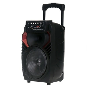 Boxa portabila tip troler JRH A82,300 W cu acumulator si microfon wireless
