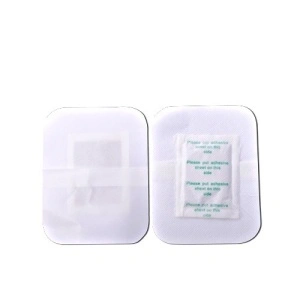Plasturi pentru detoxifiere 10 bucati,Eden Line NutriFlux - Img 2