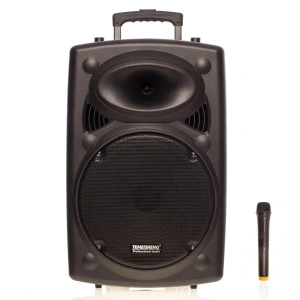 Boxa activa portabila de tip troler Temeisheng LA-12 cu Bluetooth