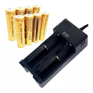 Incarcator pentru 2 acumulatori sau baterii reincarcabile 500mA cu decuplare automata - Img 1