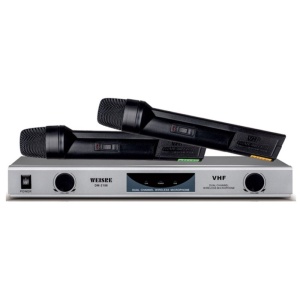 Set de 2 microfoane wireless profesionale cu receiver, DM-2186