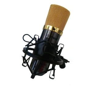 Microfon profesional pentru studio de inregistrari cu fir,DL-700