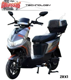 COLOSSUS Električni bicikl sivi ZRX1