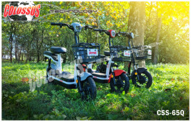 COLOSSUS E-SKUTER & BIKE sivi CSS-65Q - Img 2