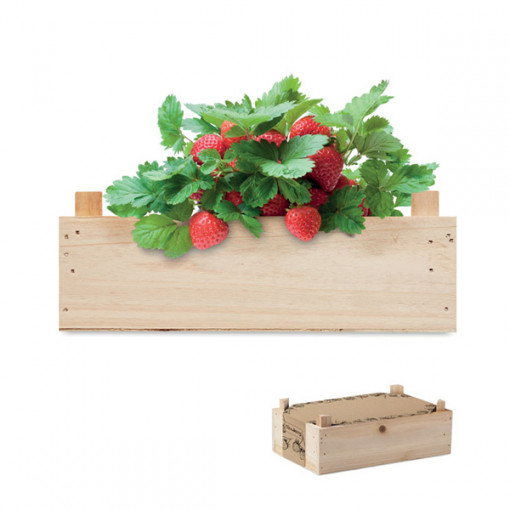 Комплект за отглеждане на ягоди в дървена щайга