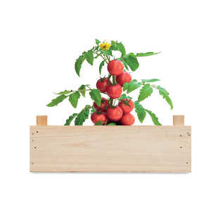 Комплект за отглеждане на домати в дървена щайга - Img 5