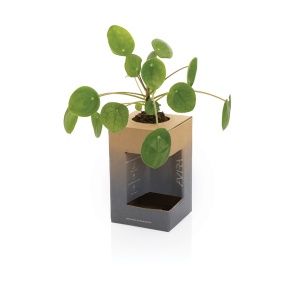 Термо чаша двустенна Avira Alya 300ml Green - Img 9
