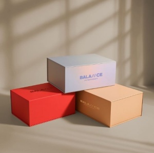 Луксозна подаръчна кутия Solvia Silver - Img 2