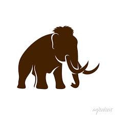 MAMMOOTH