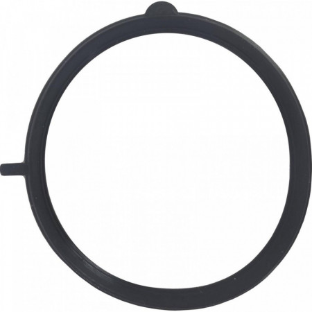 O-ring corp clapeta CHEVROLET AVEO 2005-2012