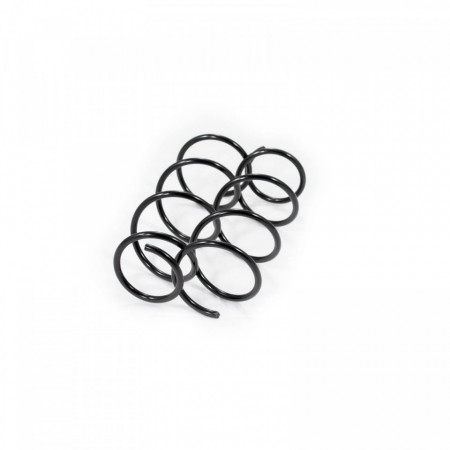 Set arc elicoidal fata RENAULT CLIO 2001-2003