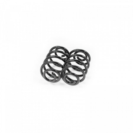 Set arcuri elicoidale spate RENAULT CLIO 1998-2005