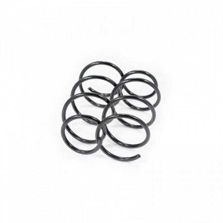 Set arc elicoidal fata RENAULT SCENIC 1997-2001