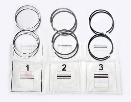 Set segmenti Dacia 1400