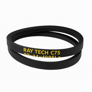 Cureaua de transmisie RAY TECH C75 (22x14x1985La)