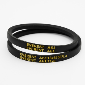 Curea de transmisie industrială EVEREST A61 (13x8x1567La)