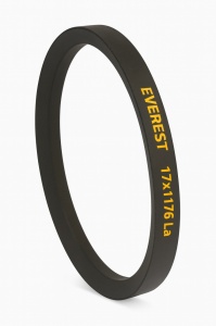 Curea trapezoidală EVEREST B17x1176 La