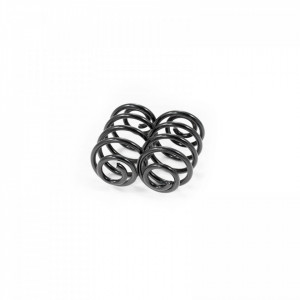 Set arcuri elicoidale spate RENAULT CLIO 1998-2005