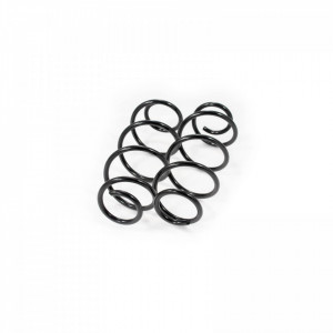Set arc elicoidal fata RENAULT MEGANE 2002-2009