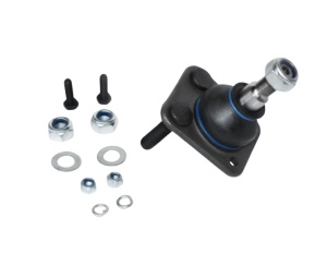 Pivot suspensie superioara Dacia 1310