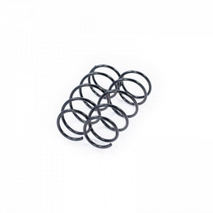 Set arc elicoidal fata RENAULT CLIO 1998-2005