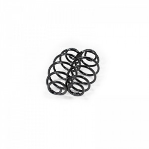 Set arcuri elicoidale spate OPEL ASTRA 1998-2009