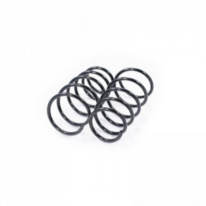 Set arc elicoidal fata RENAULT MEGANE 1995-2004