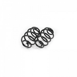 Set arcuri elicoidale spate OPEL ASTRA 1991-1999